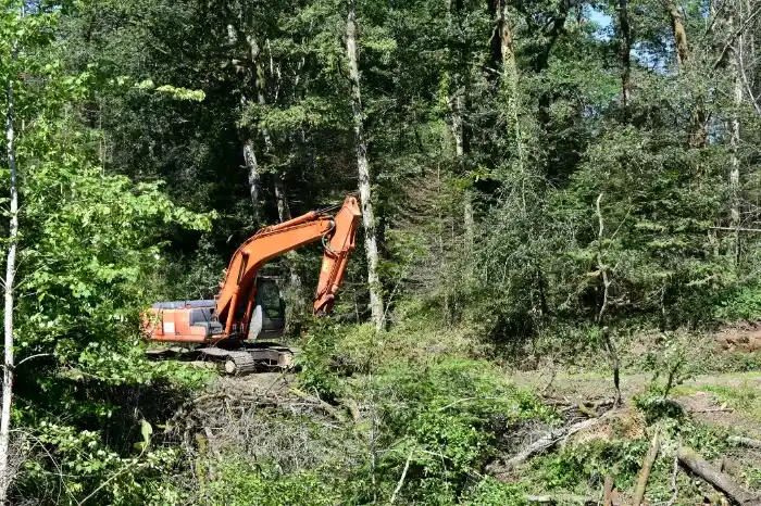 Excellent Land Clearing in Houston, TX Excellent Land Clearing in Houston, TX