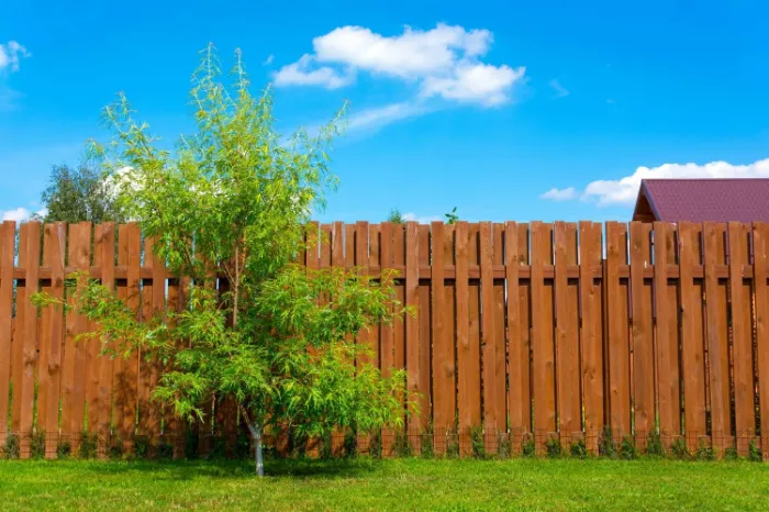 How Wood Fences Improve Privacy While Protecting Trees in Houston, TX