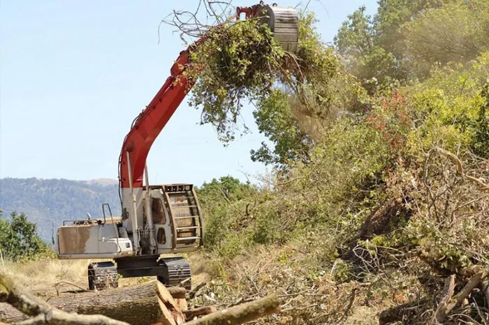Trusted Land Clearing in Houston, TX Trusted Land Clearing in Houston, TX